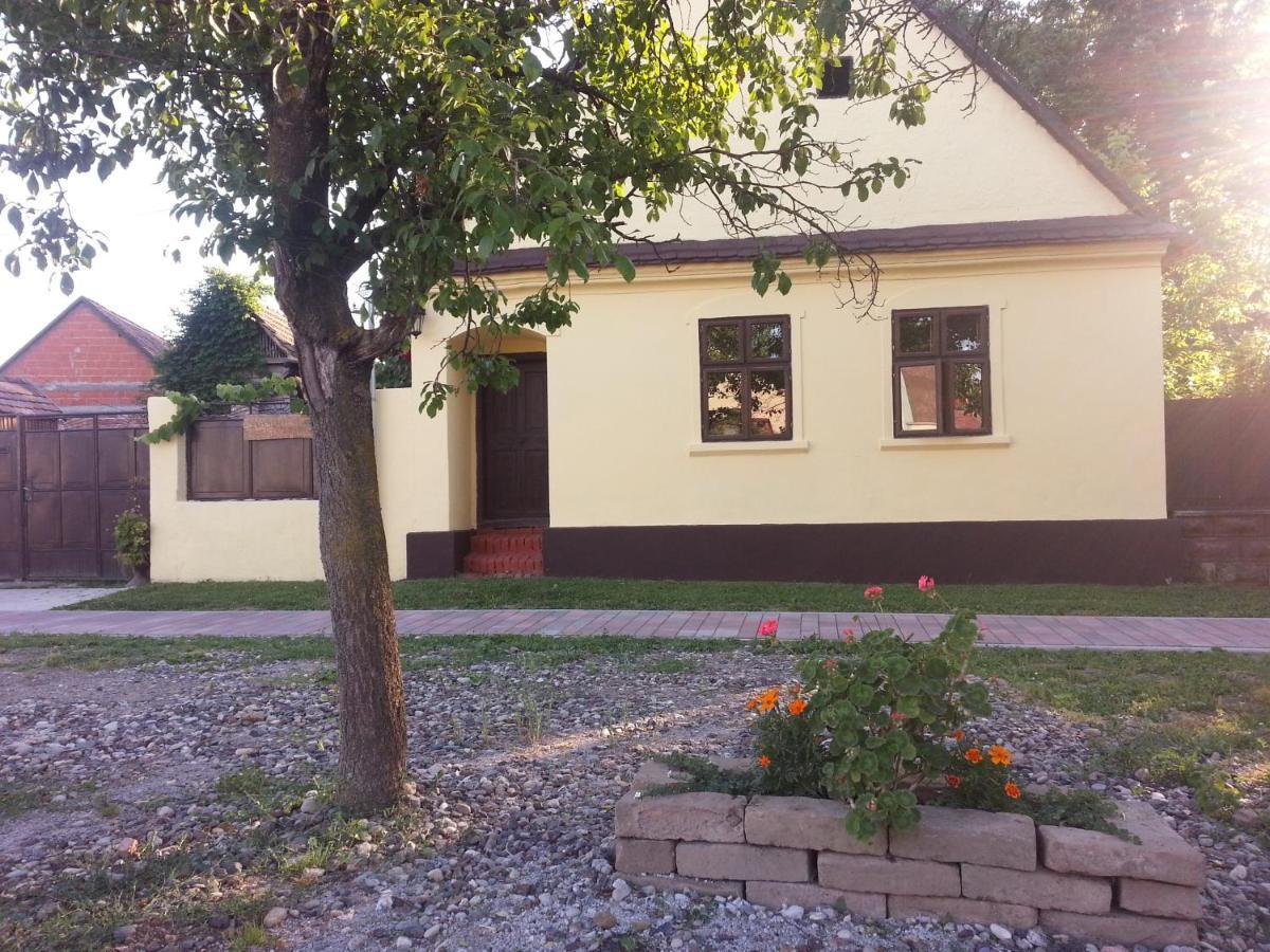 Snasini Kucari Acomodação com café da manhã Gradiste Exterior foto